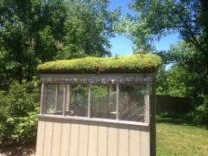 Green Roof