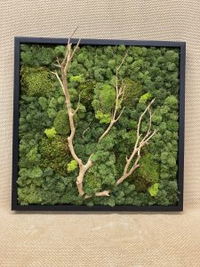 moss wall art with branch
