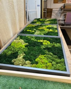 moss wall product