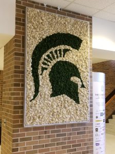 spartan moss wall