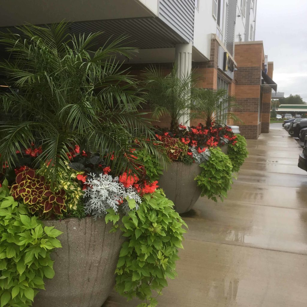 outdoor color landscaping lansing